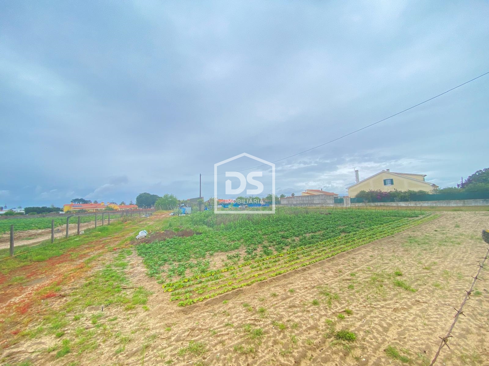 Real Estate building