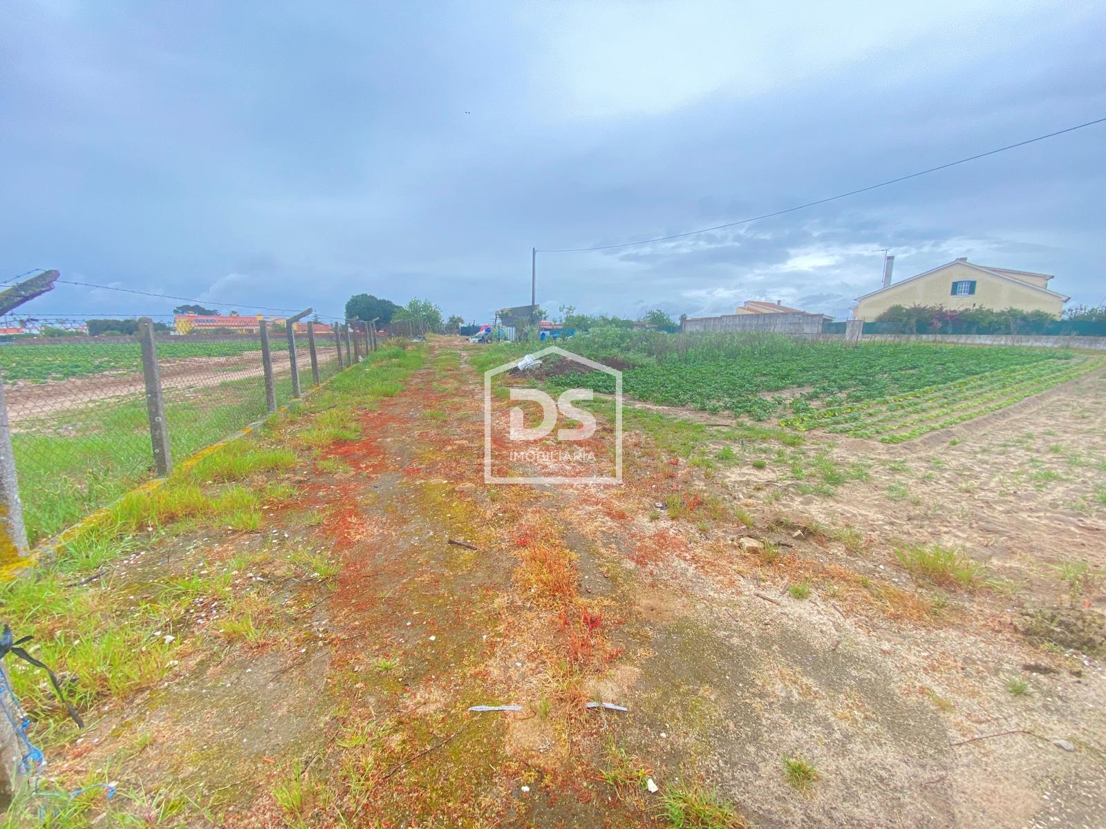 Real Estate building