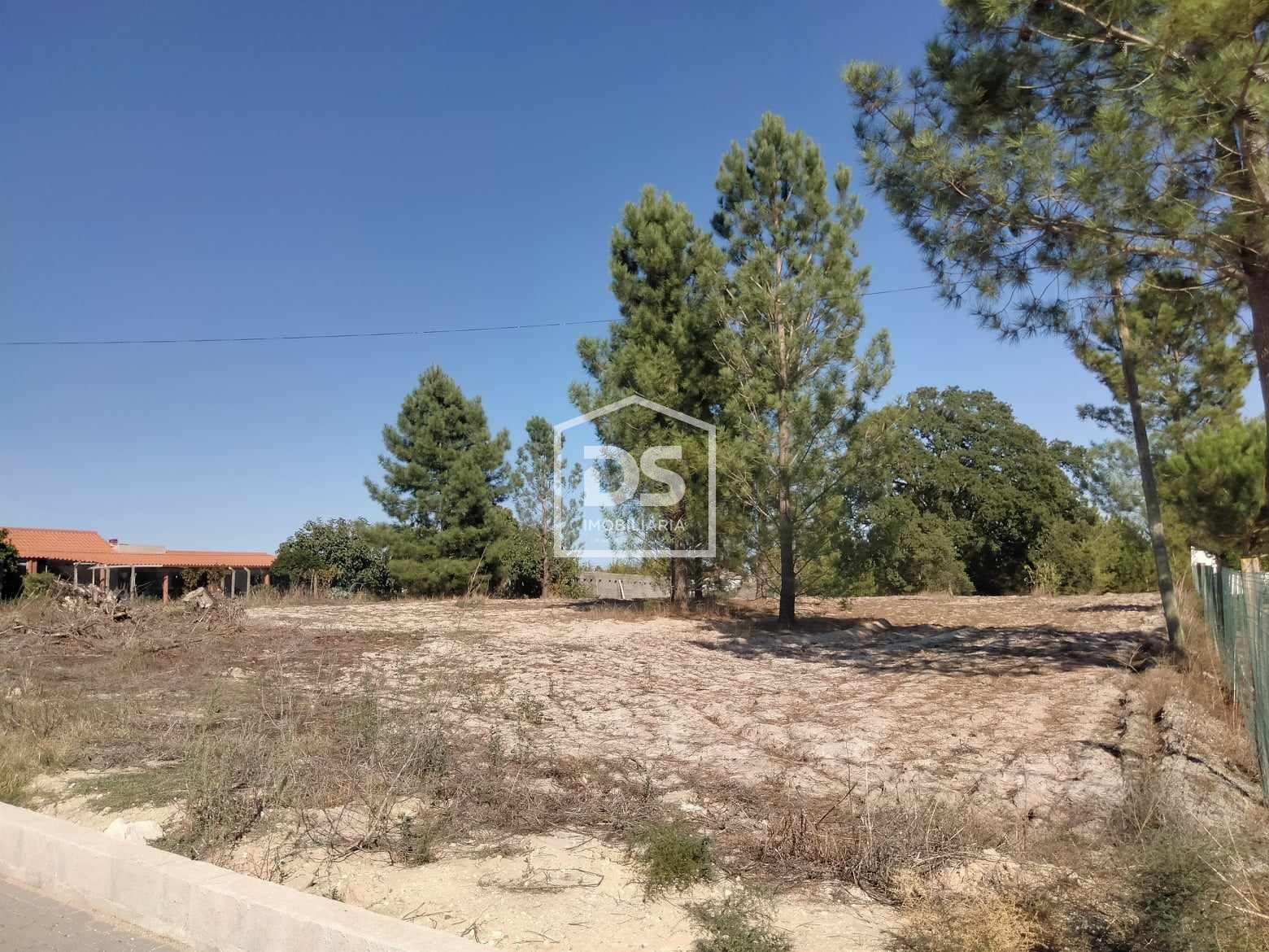 Real estate land