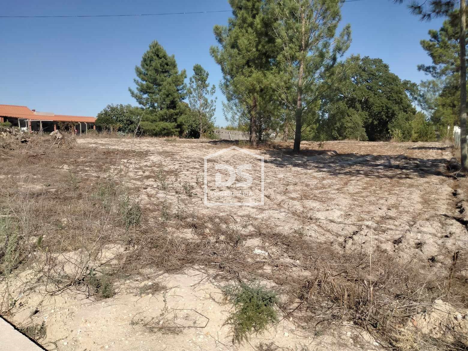 Real estate land